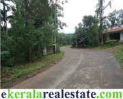 Rubber Plantation for Sale at Vithura Trivandrum