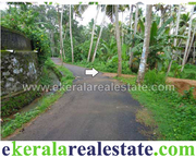 Plots for sale at Pallichal near Pravachambalam