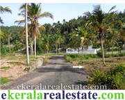 Thiruvallam Trivandrum land for sale