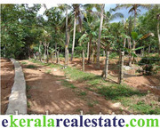 Parassala Ayira land for sale in Trivandrum