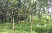 Well maintained 30cent land for sale near Kenichira. wayanad