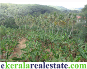 land at Karakulam Trivandrum sale