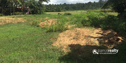 18cent  land for sale in Thirunelli