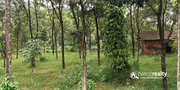 Best price for 1 acre land in valad at 30lakh