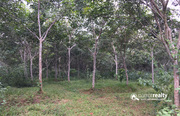 2 acre 30 cent land for sale in Kariyambadi. wayanad