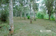 Well maintained 3 acre land with two story house for sale near vakeri