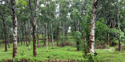 Well maintained 2.70 acre land in Nadavayal at 25lakh/acre