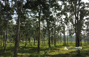 3 acre  60 cent land for sale in Naikuppa near Nadavayal .