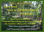 1acre land near to Sulthanbathery Wayanad--Wayanadlinks 