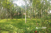 Well  demanding  10cent land for sale in Kenichira.