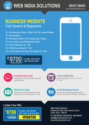 Low Budget Website | Web India Solutions 