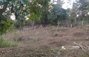 32cent land for sale in Padinjarathara