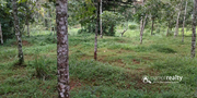 1 acre land with small house for sale in Venmani.