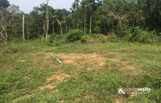 20cent house plot for sale near Mananthavady  at 20lakh