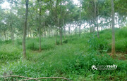 Best price for 50 cent land in Koleri at 11 lakh.