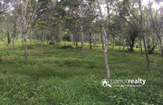 1 acre 28 cent  land for sale in Perikkalloor near pulpally.