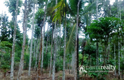 5 acre land @ 2 Cr in Bathery. Wayanad