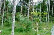 1.50 acre  water frontage land for sale in Karapuzha  .