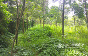 7.50 acre land @ 12 lakh/acre in Kattimoola. Wayanad