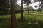 28.50 cent land for sale in pulpally @ 20 lakh.