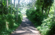  40 cent land for sale in AKG @ 60000/cent