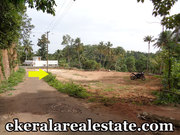 Peyad 5 lakh per cent land for sale