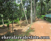 residential land sale at Pravachambalam 