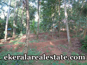 Naruvamoodu Pravachambalam  10 cents land plot for sale