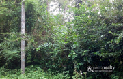 1 acre land @ 35 lakh in Ambalavayal. Wayanad