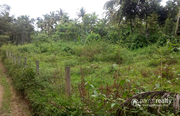 23cent house plot in 2th mile @ 23lakh. Wayanad