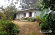 2.50 acre land with 3bhk house @ 85 lakh in Nadavayal. Wayanad