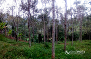Well 2 acre with independent house in Kattimoola @ 44 lakh. Wayanad