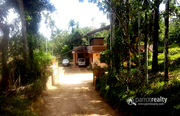 4 acre land with 3bhk house in Nadavayal @ 1.60Cr. Wayanad
