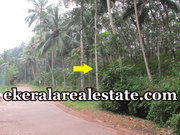 1.15 acre rubber land sale at Kokkottela Aryanad Trivandrum