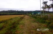 Well demanding 5.75 acre Land for sale in Millumukku @76lakh. Wayanad