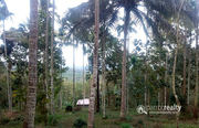 Well Demanded 7.50 acre hill top property@ 22 lakh/acre in Marakkadavu