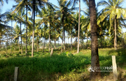 2.50 acre Land with Quarry for sale in Marakadavu @35 lakh/acre.