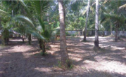 17cent residential land for sale in Munnamkutty, Kayamkulam, Alappuzha