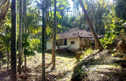 Well demanding 2.50 acre land with small house in Kumbaleri @ 88 lakh.