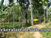 Enikkara Peroorkada Trivandrum 22 cents house land for sale
