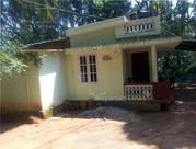 27 cent plot with old house for sale at Wayanad 