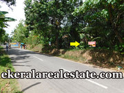 Residential plot 24 cents 2.25 lakhs per cent land for sale