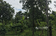 Well 2.50 acre investment purpose land near Meenmutty waterfalls