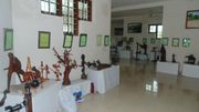 Uniqueness in Kerala | Bay Island Driftwood Museum