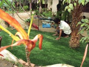 Imported artificial grass for indoor/outdoor/football facility