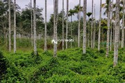 2.30 acre Agriculture land for sale near Varadoor…..
