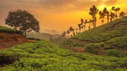 Book Now The Latest Kerala Tour packages With Affordable Offers!