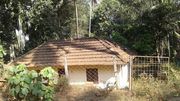 This property is in Painkulam,  near to Chelakkara & Cheruthuruthy 