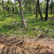 20 cents Land for sale Ernakulam