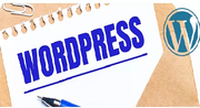 Freelance Wordpress Developer in Thiruvananthapuram